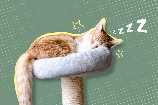 ZZZ...YOUR WAY TO BETTER HEALTH
